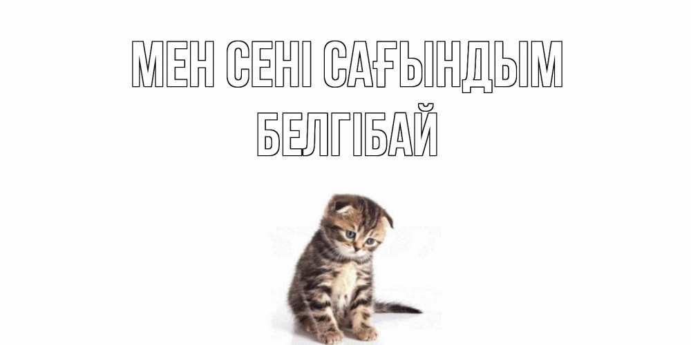 Күн сайын ашық хат с именем, Белгібай Мен сені сағындым кот Онлайн тегін жүктеп алу тілектері бар керемет карта 