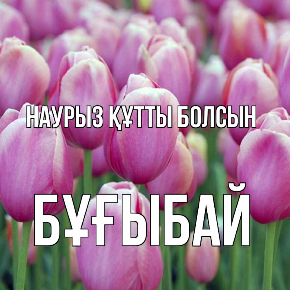 Күн сайын ашық хат с именем, Бұғыбай Наурыз құтты болсын на наурыз  день 3 Онлайн тегін жүктеп алу тілектері бар керемет карта 