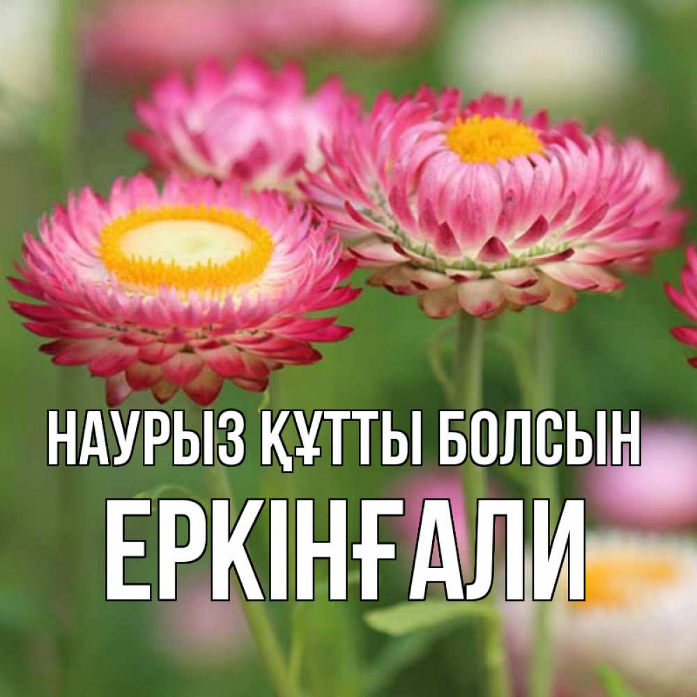 Күн сайын ашық хат с именем, Еркінғали Наурыз құтты болсын подарок на международный женский день Онлайн тегін жүктеп алу тілектері бар керемет карта 
