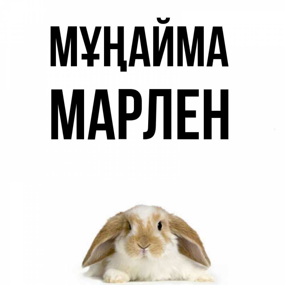Күн сайын ашық хат с именем, МАРЛЕН Мұңайма коричнево белый заяц с большими ушками Онлайн тегін жүктеп алу тілектері бар керемет карта 