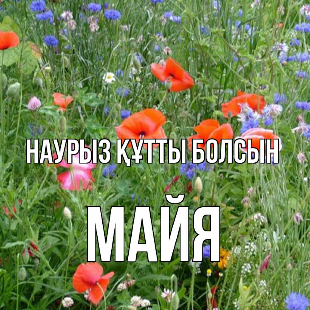 Күн сайын ашық хат с именем, Майя Наурыз құтты болсын наурыз  4 Онлайн тегін жүктеп алу тілектері бар керемет карта 
