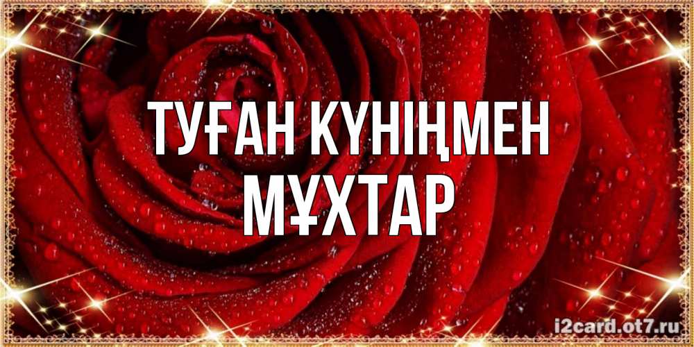 Күн сайын ашық хат с именем, МҰХТАР Туған күніңмен роса на розе блестящая в лучах солнца Онлайн тегін жүктеп алу тілектері бар керемет карта 