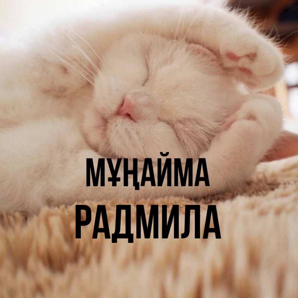 Күн сайын ашық хат с именем, Радмила Мұңайма Котенок спит Онлайн тегін жүктеп алу тілектері бар керемет карта 
