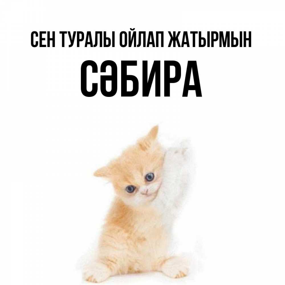 Күн сайын ашық хат с именем, СӘБИРА Сен туралы ойлап жатырмын зверушки и милота Онлайн тегін жүктеп алу тілектері бар керемет карта 