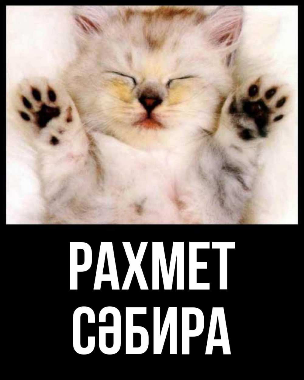 Күн сайын ашық хат с именем, СӘБИРА рахмет маленький котенок Онлайн тегін жүктеп алу тілектері бар керемет карта 