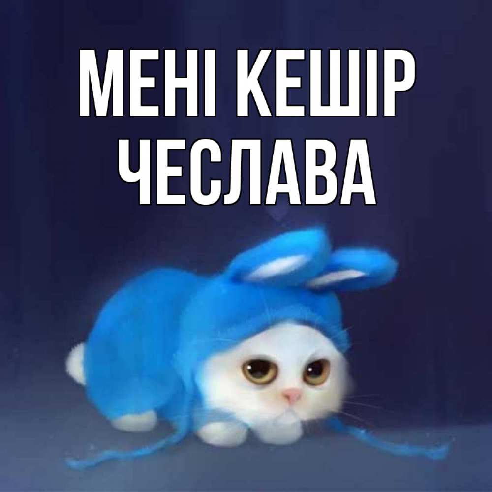 Күн сайын ашық хат с именем, Чеслава Мені кешір невинный котозай просит прощения Онлайн тегін жүктеп алу тілектері бар керемет карта 