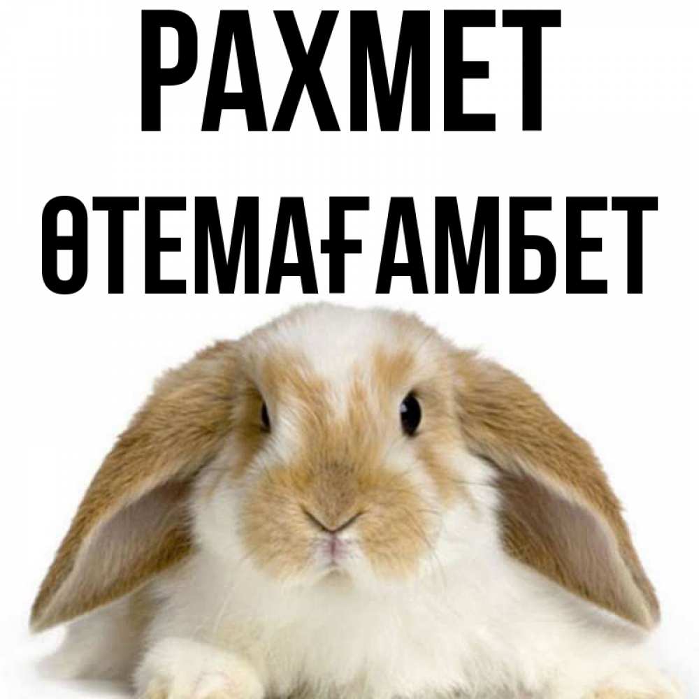 Күн сайын ашық хат с именем, ӨТЕМАҒАМБЕТ рахмет коричнево белый заяц Онлайн тегін жүктеп алу тілектері бар керемет карта 