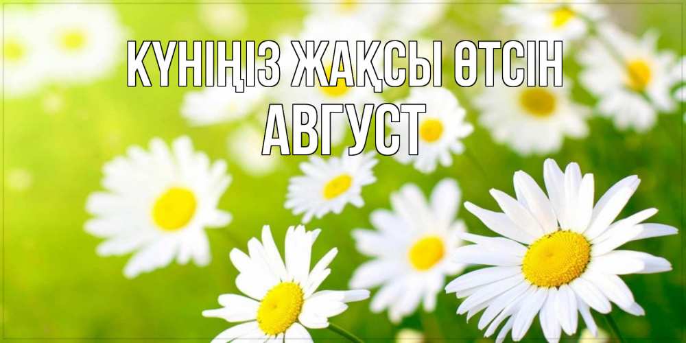 Күн сайын ашық хат с именем, Август Күніңіз жақсы өтсін открытка с ромашками на зеленом фоне Онлайн тегін жүктеп алу тілектері бар керемет карта 