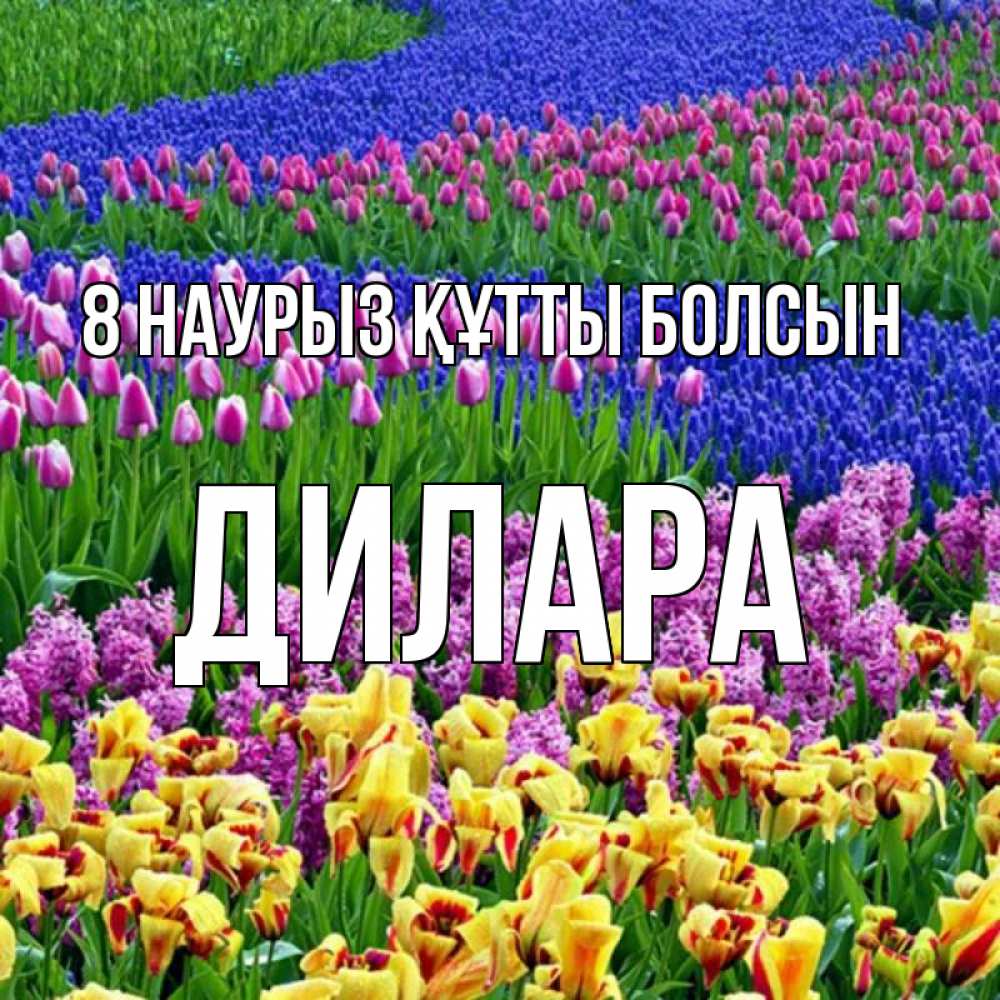Күн сайын ашық хат с именем, Дилара 8 наурыз құтты болсын цветы Онлайн тегін жүктеп алу тілектері бар керемет карта 