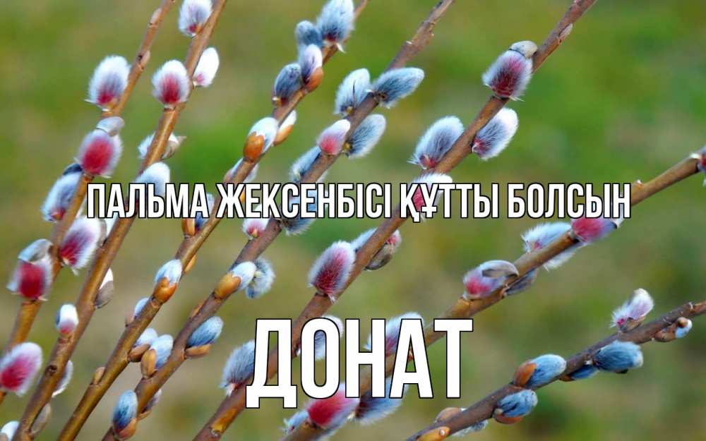 Күн сайын ашық хат с именем, Донат Пальма жексенбісі құтты болсын верба Онлайн тегін жүктеп алу тілектері бар керемет карта 