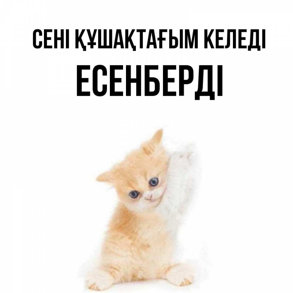 Күн сайын ашық хат с именем, Есенберді сені құшақтағым келеді я хочу очень скорее обнимаешек Онлайн тегін жүктеп алу тілектері бар керемет карта 