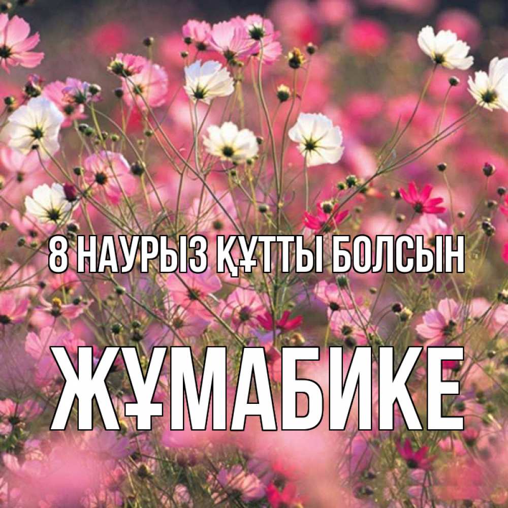 Күн сайын ашық хат с именем, ЖҰМАБИКЕ 8 наурыз құтты болсын красиво 1 Онлайн тегін жүктеп алу тілектері бар керемет карта 