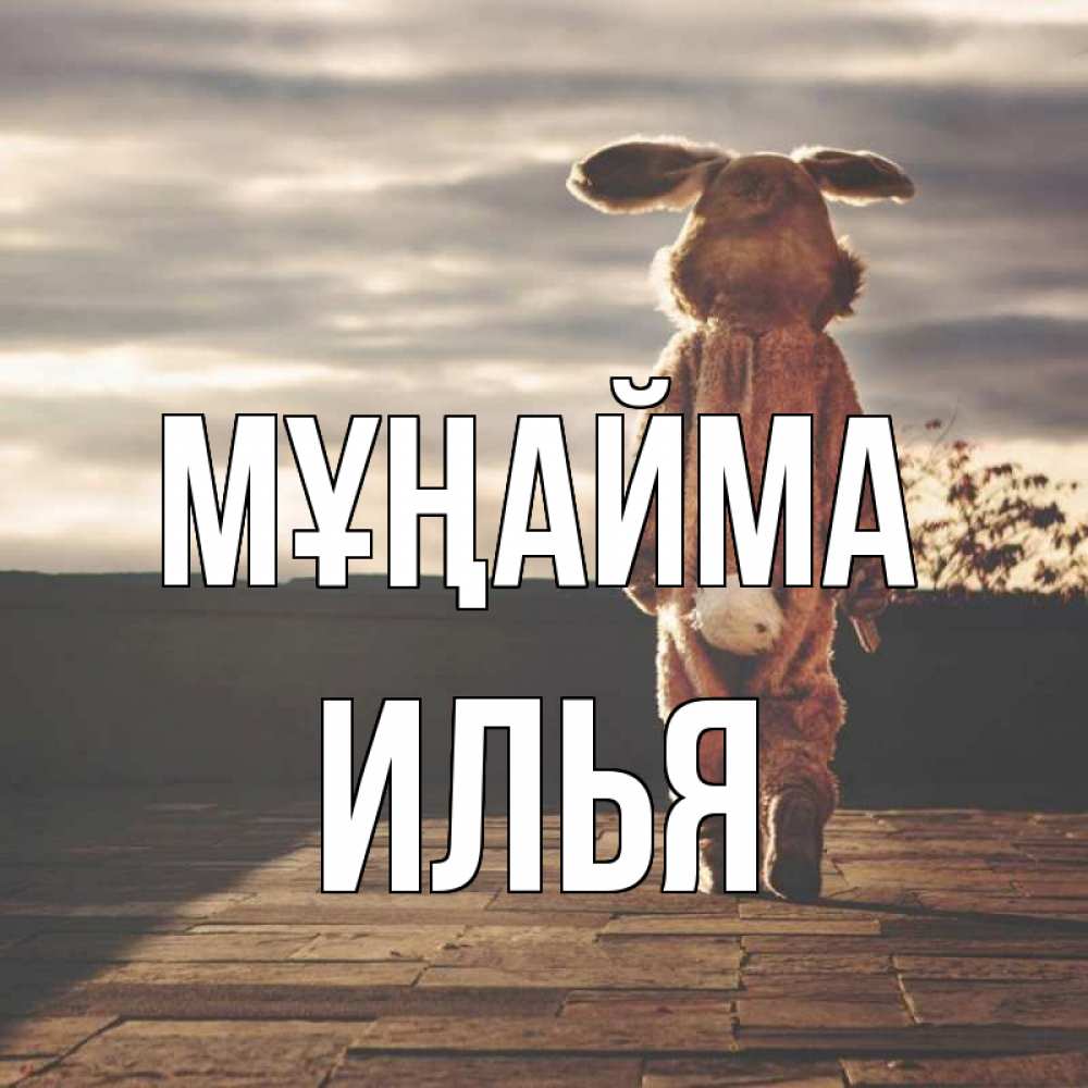 Күн сайын ашық хат с именем, Илья Мұңайма со спины Онлайн тегін жүктеп алу тілектері бар керемет карта 
