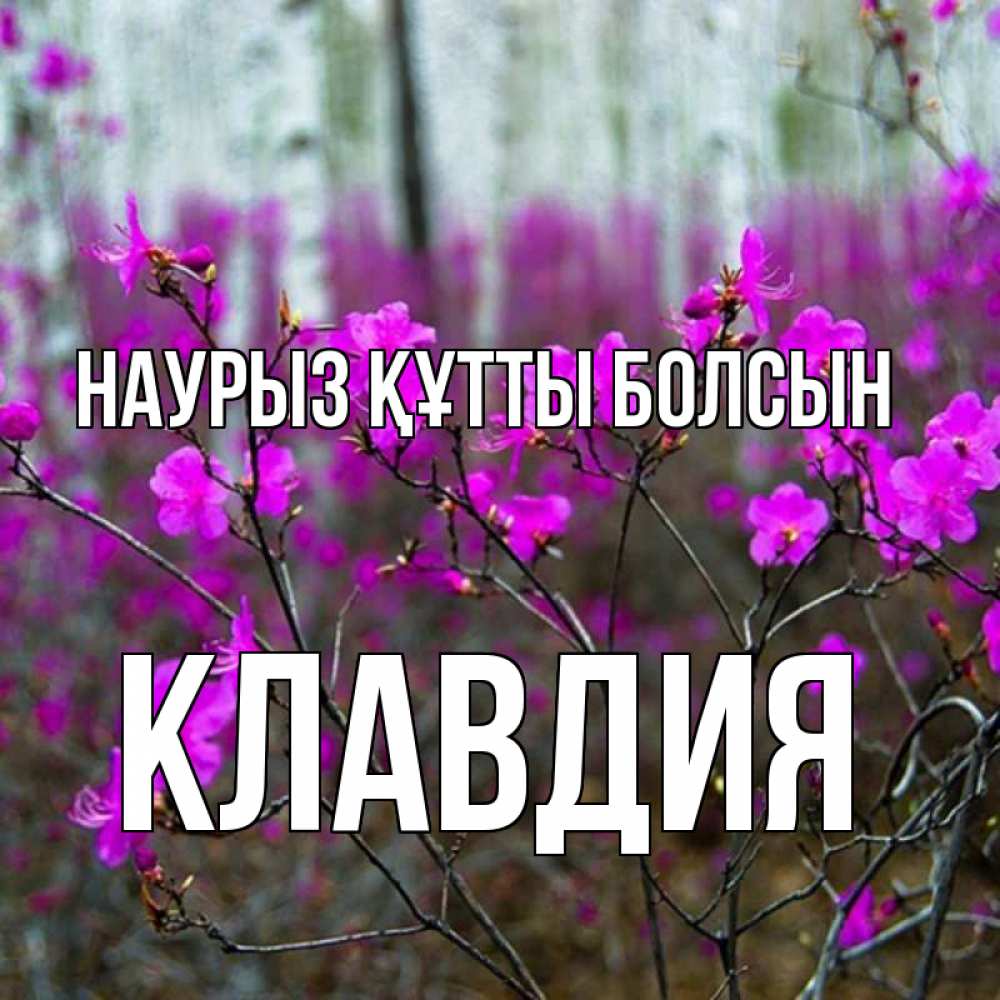 Күн сайын ашық хат с именем, Клавдия Наурыз құтты болсын дикие цветы Онлайн тегін жүктеп алу тілектері бар керемет карта 