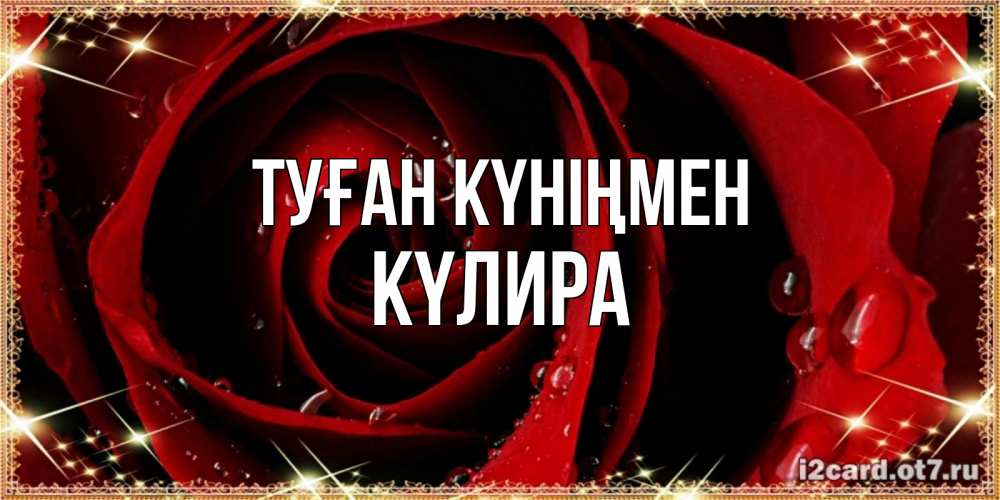 Күн сайын ашық хат с именем, КҮЛИРА Туған күніңмен цветок в росе на день рождения Онлайн тегін жүктеп алу тілектері бар керемет карта 