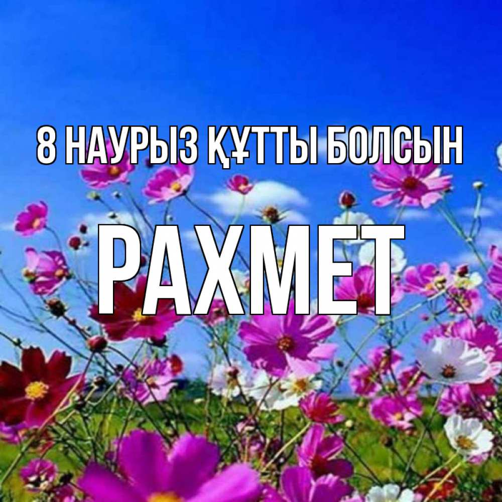 Күн сайын ашық хат с именем, РАХМЕТ 8 наурыз құтты болсын цветы Онлайн тегін жүктеп алу тілектері бар керемет карта 