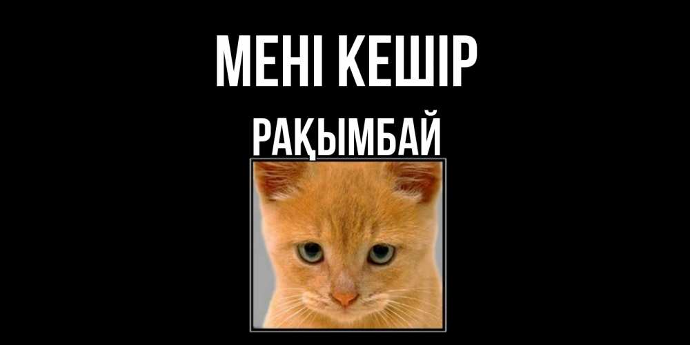 Күн сайын ашық хат с именем, Рақымбай Мені кешір рыжий грустный кот просит прощения Онлайн тегін жүктеп алу тілектері бар керемет карта 