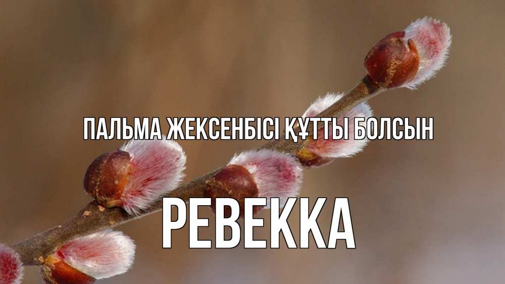 Күн сайын ашық хат с именем, Ревекка Пальма жексенбісі құтты болсын верба Онлайн тегін жүктеп алу тілектері бар керемет карта 