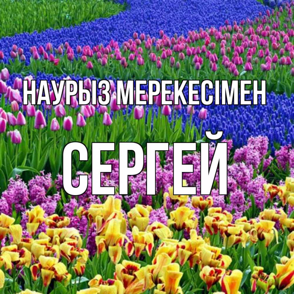 Күн сайын ашық хат с именем, Сергей Наурыз мерекесімен цветы Онлайн тегін жүктеп алу тілектері бар керемет карта 