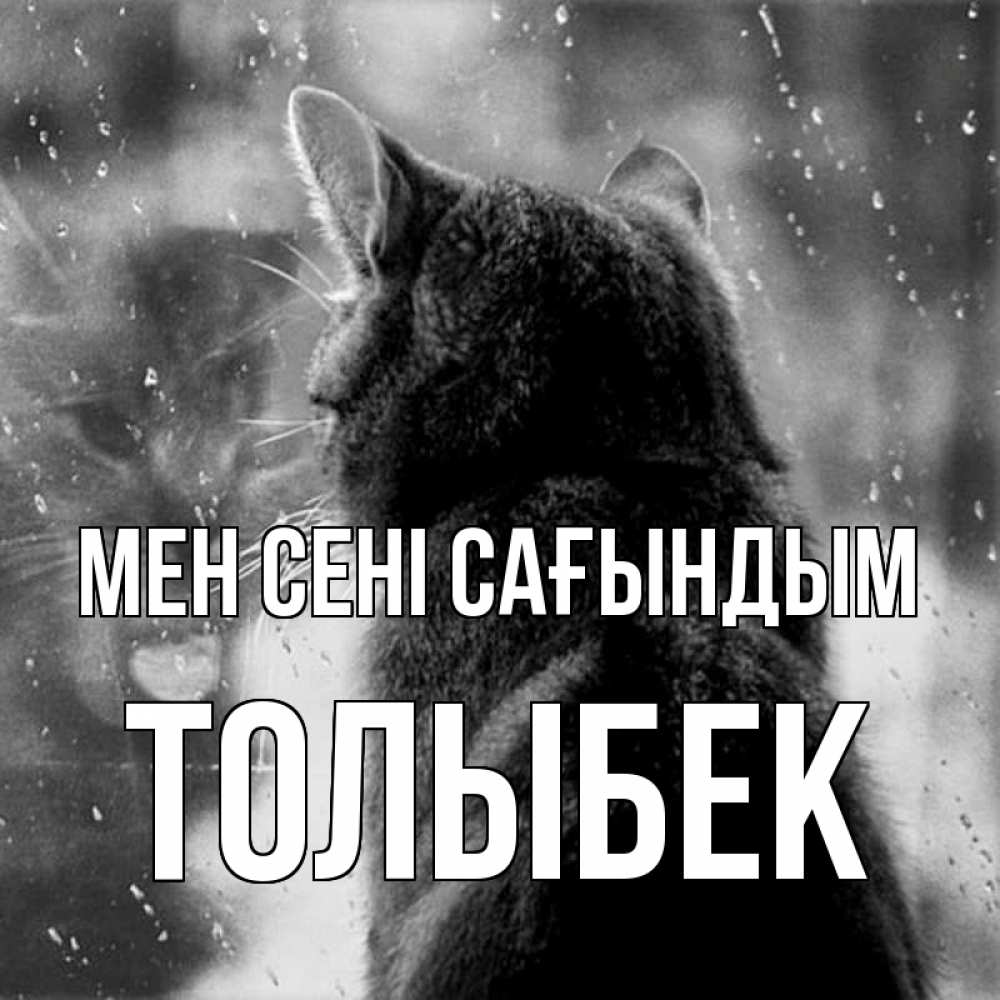 Күн сайын ашық хат с именем, ТОЛЫБЕК Мен сені сағындым скорее ко мне приходи 1 Онлайн тегін жүктеп алу тілектері бар керемет карта 