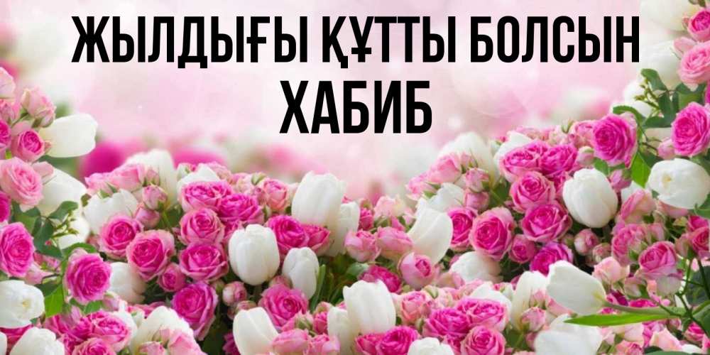 Күн сайын ашық хат с именем, ХАБИБ Жылдығы құтты болсын открытка с разными розами Онлайн тегін жүктеп алу тілектері бар керемет карта 