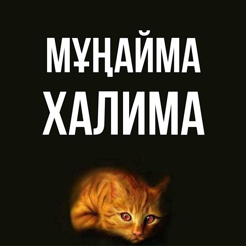 Күн сайын ашық хат с именем, ХАЛИМА Мұңайма лежащий кот в темноте Онлайн тегін жүктеп алу тілектері бар керемет карта 