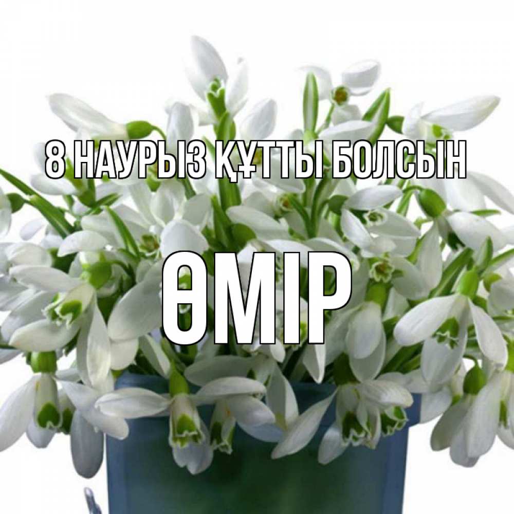 Күн сайын ашық хат с именем, ӨМІР 8 наурыз құтты болсын цветы к международному женскому дню Онлайн тегін жүктеп алу тілектері бар керемет карта 