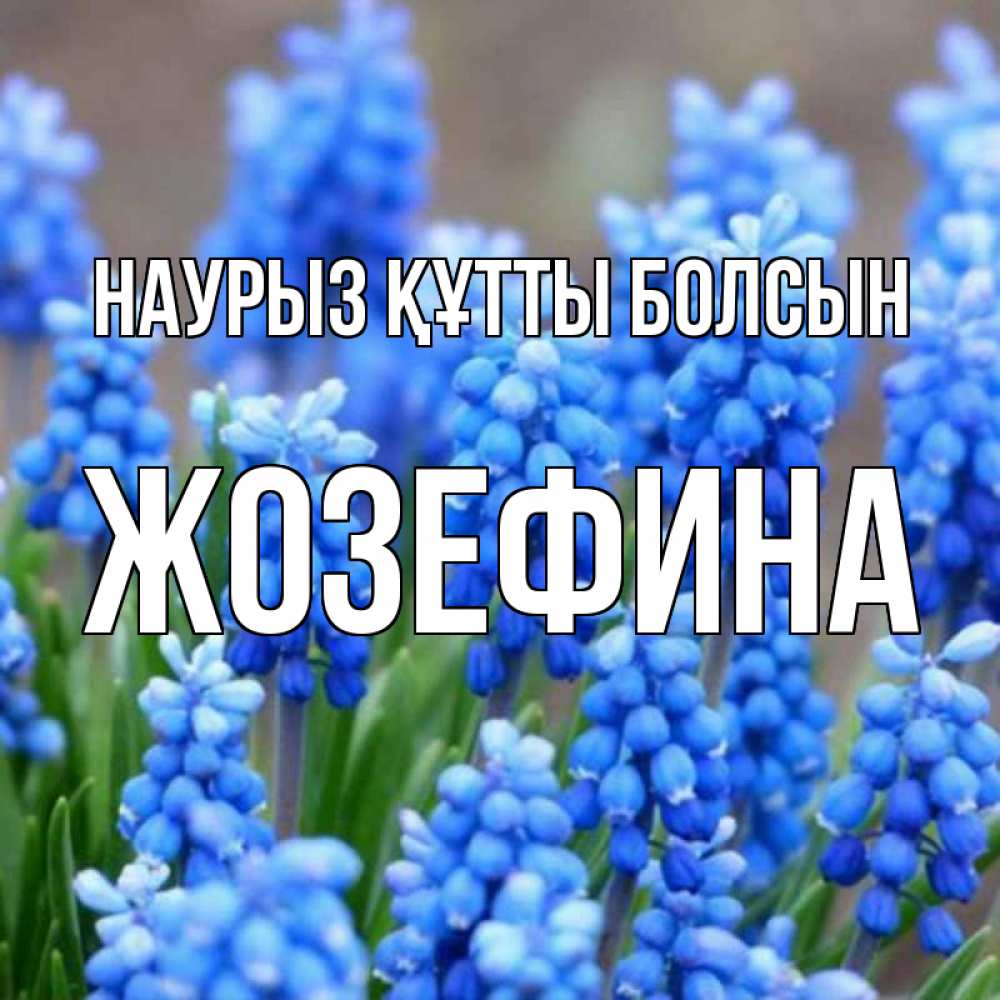 Күн сайын ашық хат с именем, Жозефина Наурыз құтты болсын Поздравительная открытка для женщин с цветами на праздничную дату Онлайн тегін жүктеп алу тілектері бар керемет карта 