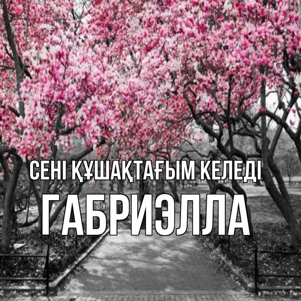 Күн сайын ашық хат с именем, Габриэлла сені құшақтағым келеді обработанное фото Онлайн тегін жүктеп алу тілектері бар керемет карта 
