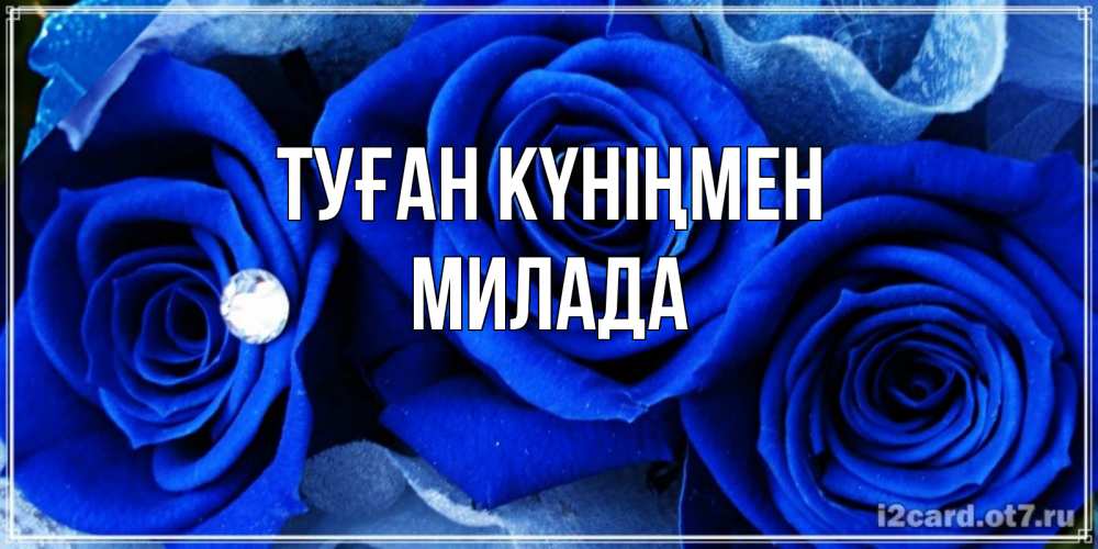Күн сайын ашық хат с именем, Милада Туған күніңмен синие розы в росе Онлайн тегін жүктеп алу тілектері бар керемет карта 