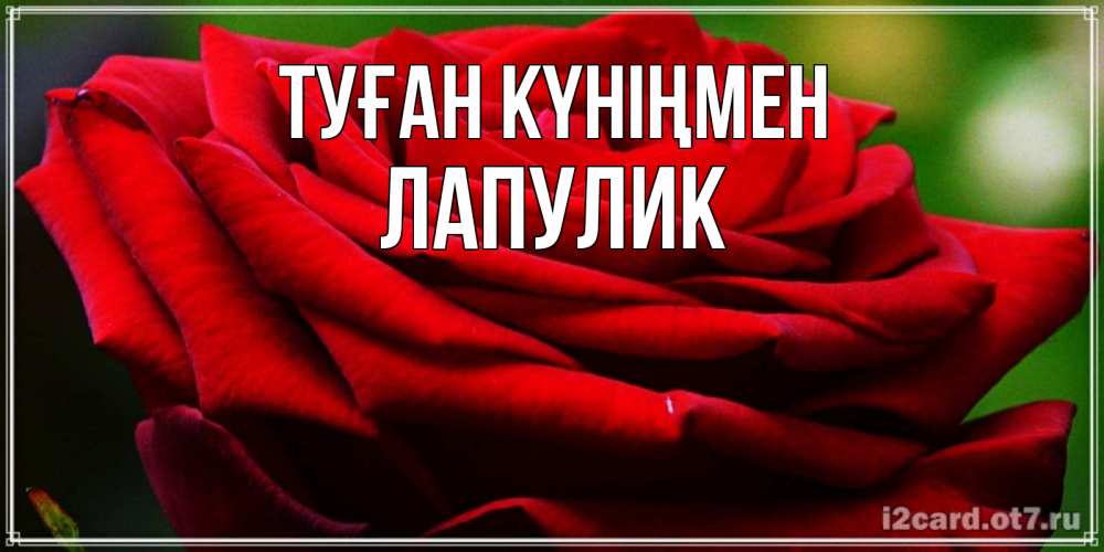 Күн сайын ашық хат с именем, Лапулик Туған күніңмен розочка очень красивая Онлайн тегін жүктеп алу тілектері бар керемет карта 