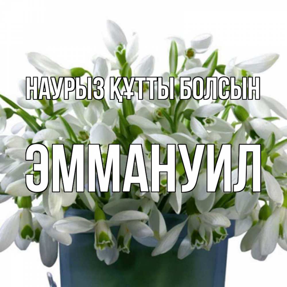 Күн сайын ашық хат с именем, Эммануил Наурыз құтты болсын цветы к наурызу Онлайн тегін жүктеп алу тілектері бар керемет карта 