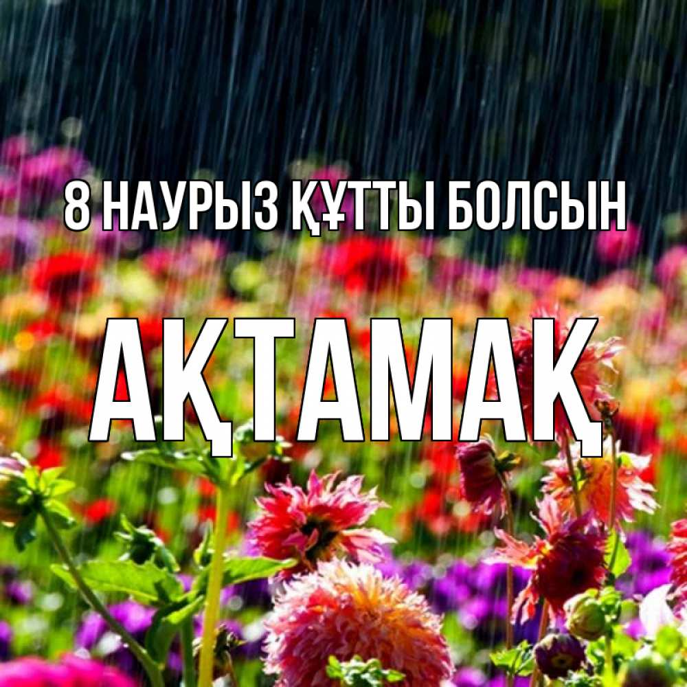 Күн сайын ашық хат с именем, Ақтамақ 8 наурыз құтты болсын цветы под дождиком к международному женскому дню Онлайн тегін жүктеп алу тілектері бар керемет карта 