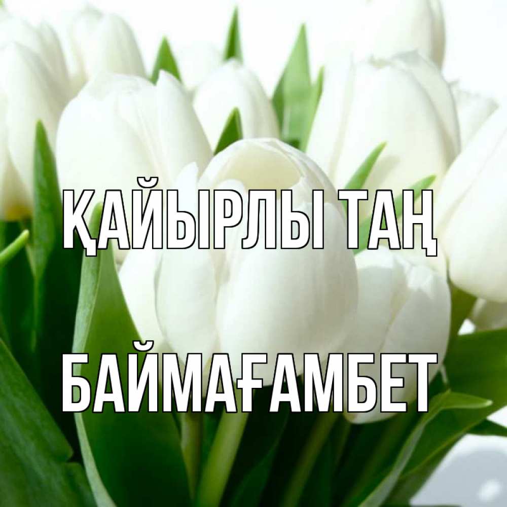 Күн сайын ашық хат с именем, Баймағамбет Қайырлы таң открытки на каждый день по именам Онлайн тегін жүктеп алу тілектері бар керемет карта 
