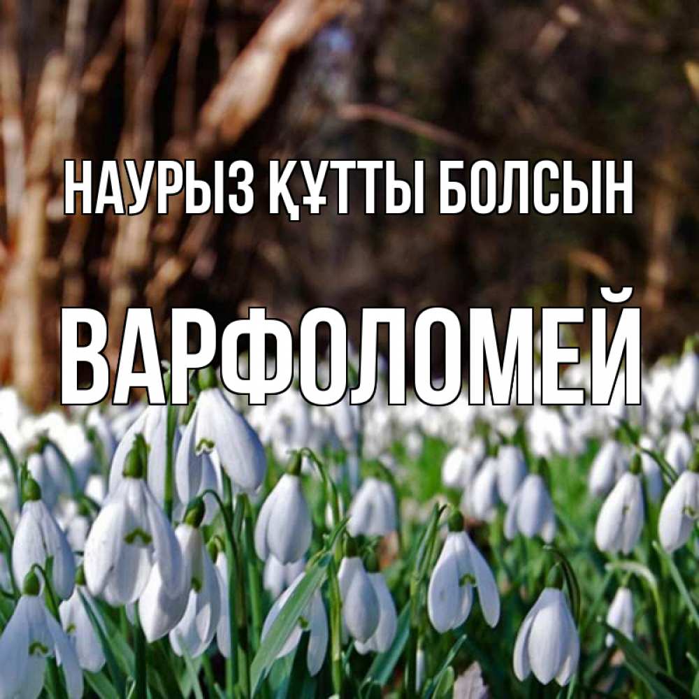 Күн сайын ашық хат с именем, Варфоломей Наурыз құтты болсын с подснежниками 1 Онлайн тегін жүктеп алу тілектері бар керемет карта 