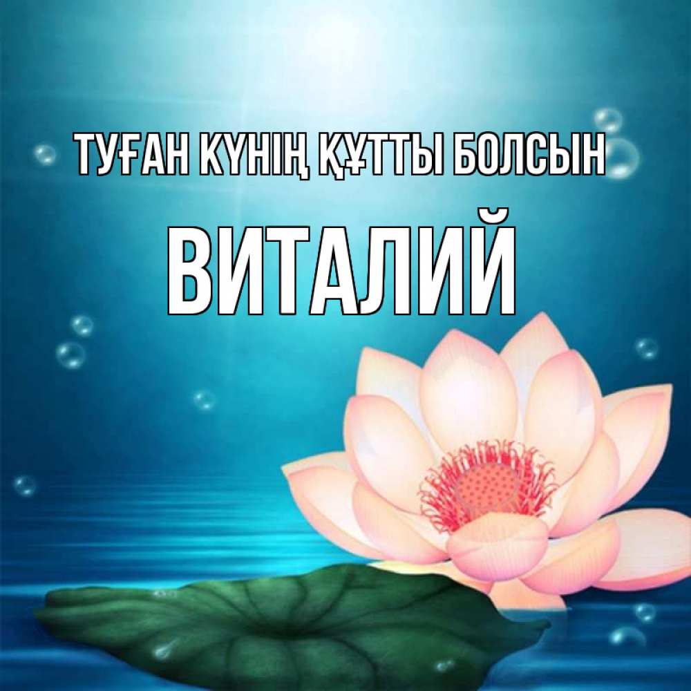 Күн сайын ашық хат с именем, Виталий Туған күнің құтты болсын кувшинка Онлайн тегін жүктеп алу тілектері бар керемет карта 
