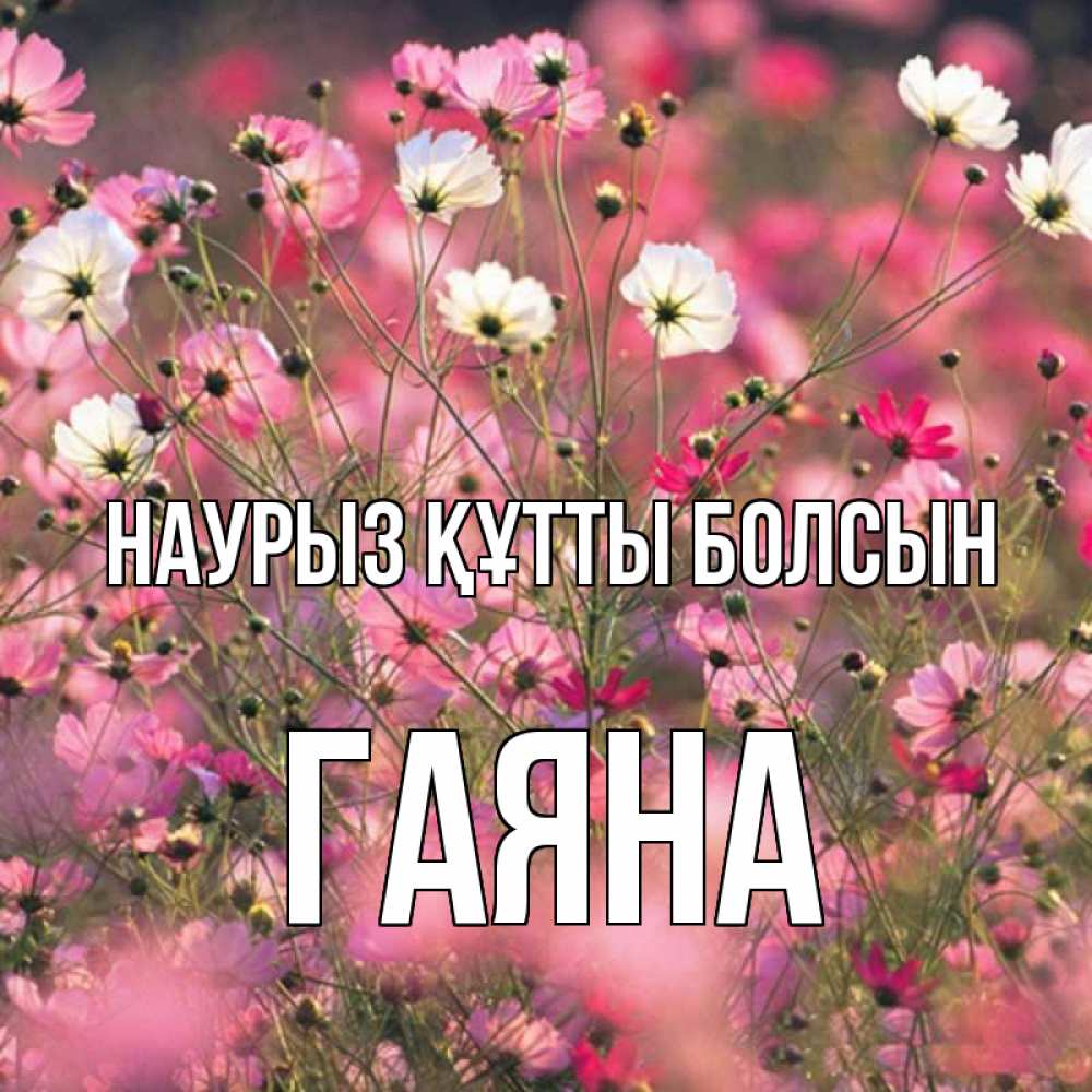 Күн сайын ашық хат с именем, ГАЯНА Наурыз құтты болсын красиво 1 Онлайн тегін жүктеп алу тілектері бар керемет карта 
