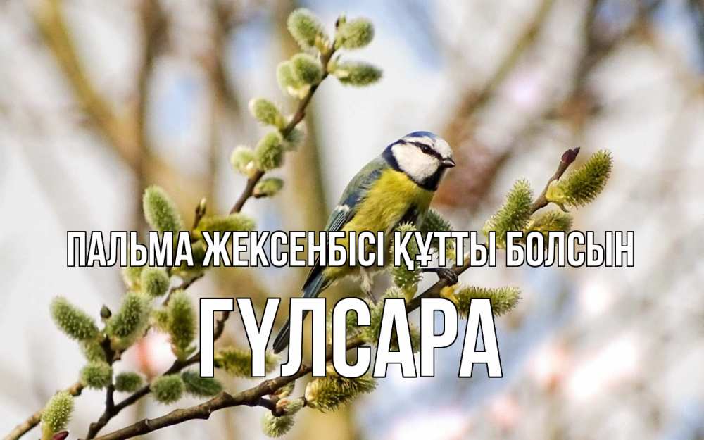 Күн сайын ашық хат с именем, ГҮЛСАРА Пальма жексенбісі құтты болсын верба Онлайн тегін жүктеп алу тілектері бар керемет карта 