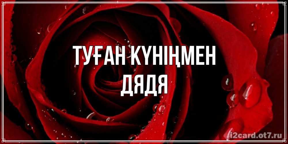 Күн сайын ашық хат с именем, Дядя Туған күніңмен крупная бордовая роза Онлайн тегін жүктеп алу тілектері бар керемет карта 