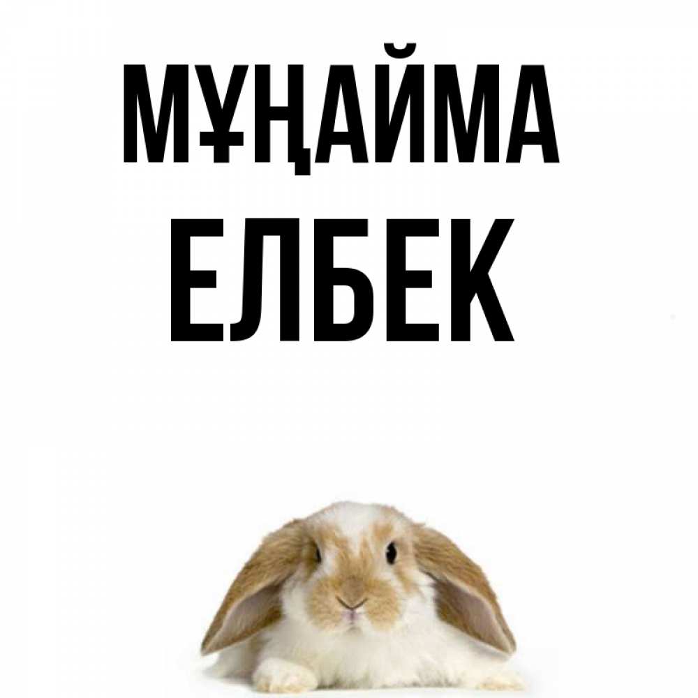 Күн сайын ашық хат с именем, Елбек Мұңайма коричнево белый заяц с большими ушками Онлайн тегін жүктеп алу тілектері бар керемет карта 