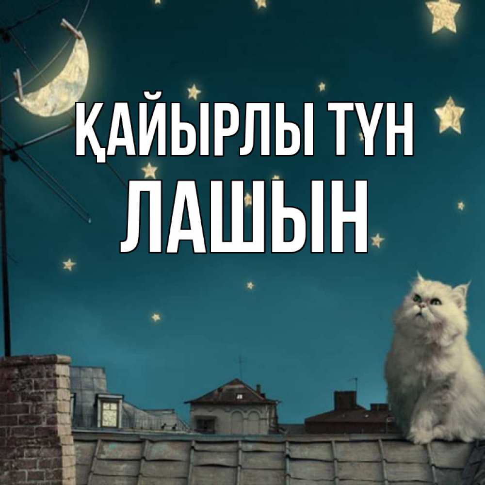 Күн сайын ашық хат с именем, ЛАШЫН Қайырлы түн белый кот сидит на крыше Онлайн тегін жүктеп алу тілектері бар керемет карта 