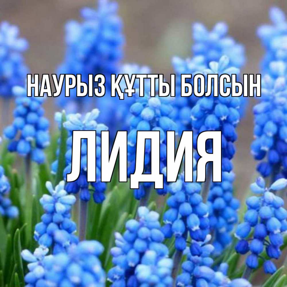 Күн сайын ашық хат с именем, Лидия Наурыз құтты болсын Поздравительная открытка для женщин с цветами на праздничную дату Онлайн тегін жүктеп алу тілектері бар керемет карта 
