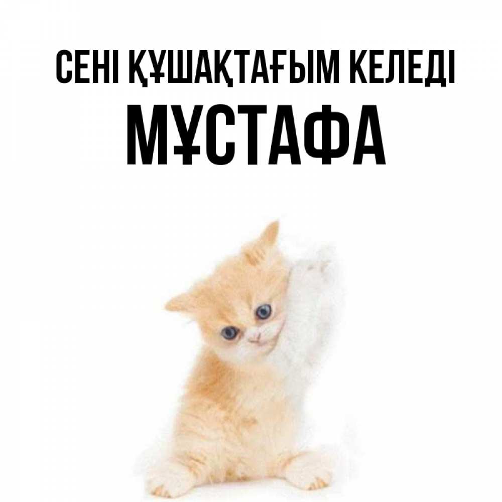 Күн сайын ашық хат с именем, МҰСТАФА сені құшақтағым келеді я хочу очень скорее обнимаешек Онлайн тегін жүктеп алу тілектері бар керемет карта 