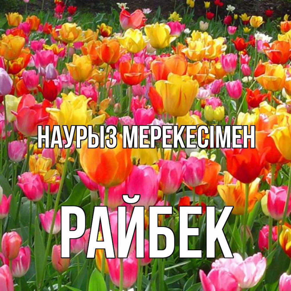 Күн сайын ашық хат с именем, РАЙБЕК Наурыз мерекесімен праздник весны наурыз 4 Онлайн тегін жүктеп алу тілектері бар керемет карта 