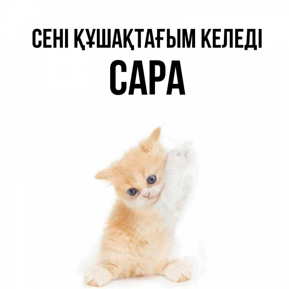 Күн сайын ашық хат с именем, САРА сені құшақтағым келеді я хочу очень скорее обнимаешек Онлайн тегін жүктеп алу тілектері бар керемет карта 