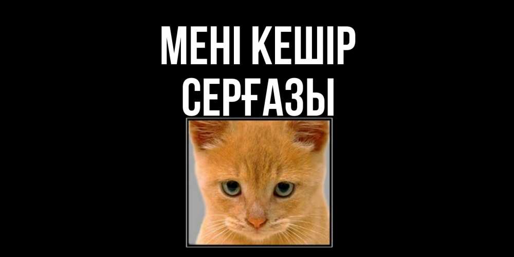 Күн сайын ашық хат с именем, СЕРҒАЗЫ Мені кешір рыжий грустный кот просит прощения Онлайн тегін жүктеп алу тілектері бар керемет карта 
