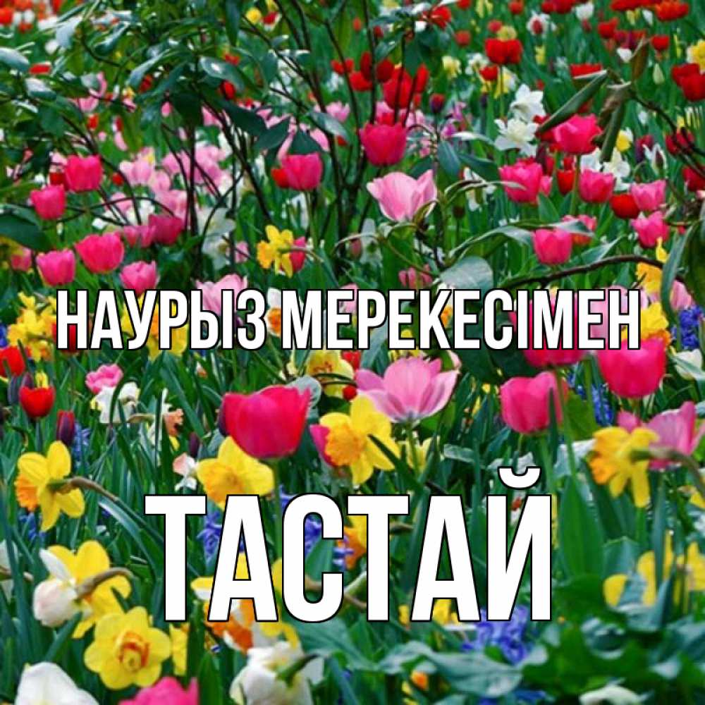 Күн сайын ашық хат с именем, ТАСТАЙ Наурыз мерекесімен с наурызом праздником весны поздравления для женщины Онлайн тегін жүктеп алу тілектері бар керемет карта 