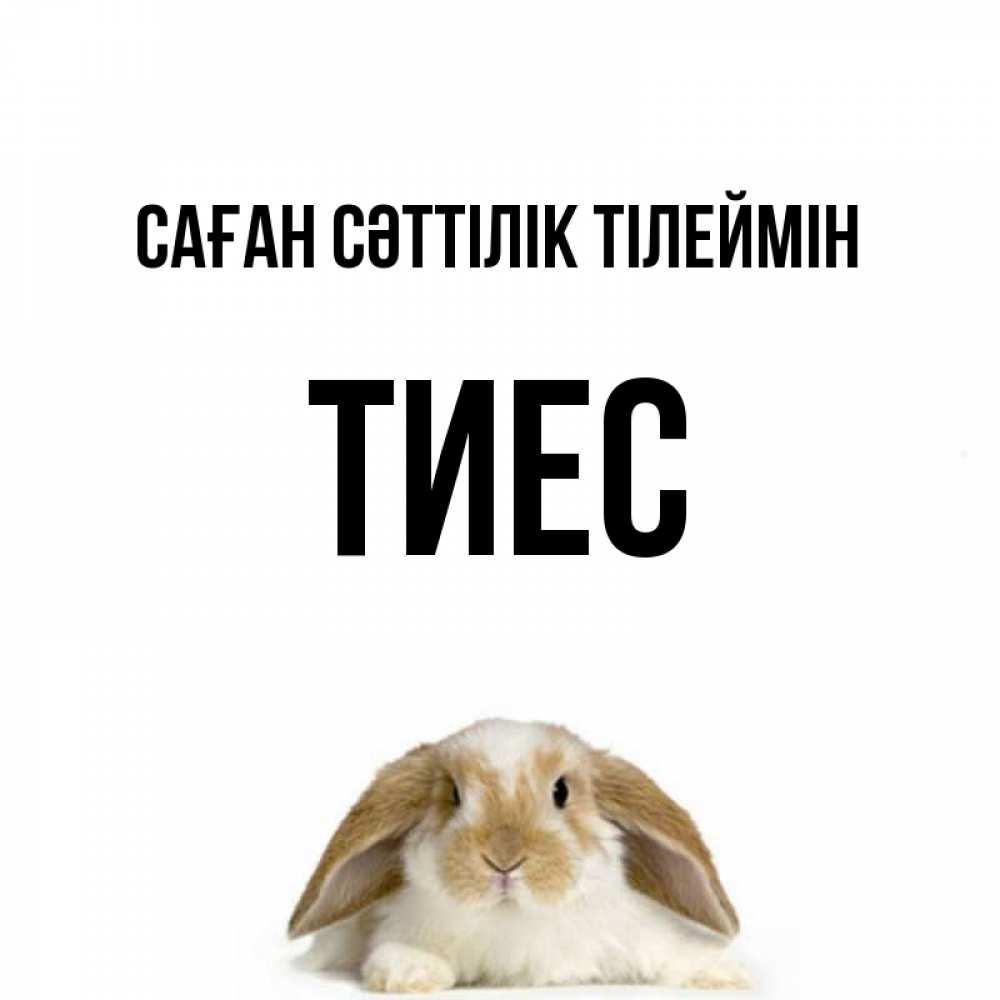 Күн сайын ашық хат с именем, ТИЕС Саған сәттілік тілеймін открытки с произвольным текстом который можно вставить в открытку и создать ее самостоятельно бесплатно онлайн Онлайн тегін жүктеп алу тілектері бар керемет карта 
