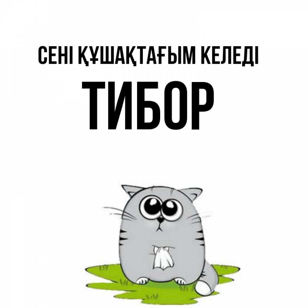 Күн сайын ашық хат с именем, Тибор сені құшақтағым келеді котик теребит платочек сидя на травке Онлайн тегін жүктеп алу тілектері бар керемет карта 