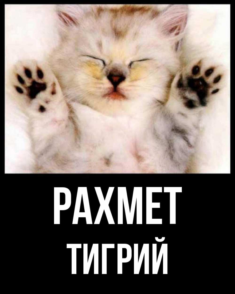 Күн сайын ашық хат с именем, Тигрий рахмет маленький котенок Онлайн тегін жүктеп алу тілектері бар керемет карта 